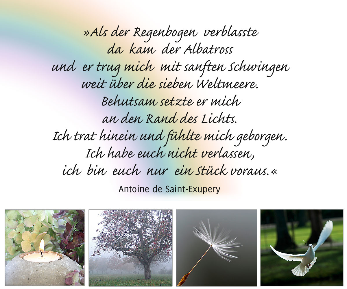 Als der Regenbogen verblasste da kam der Albatros und er trug mich mit sanften Schwingen weit über die sieben Weltmeere.